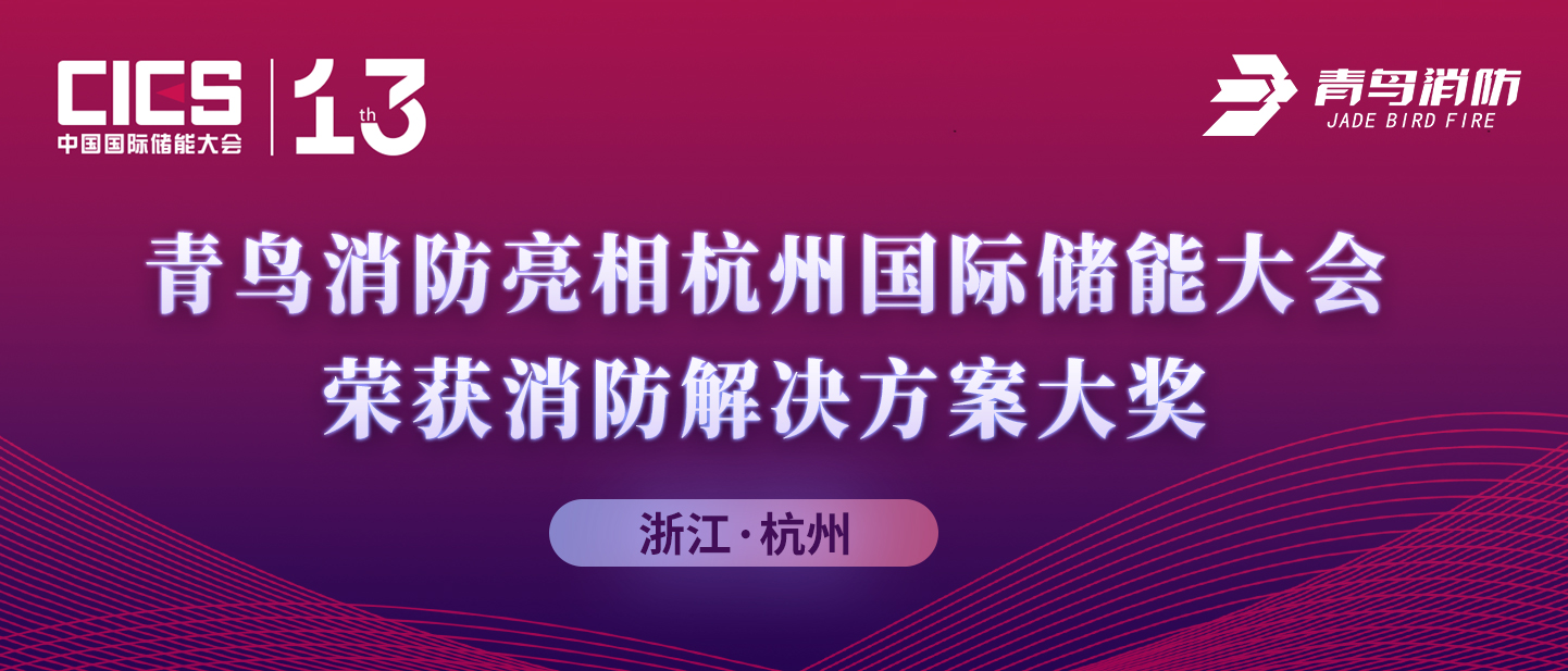 z6com·尊龙凯时亮相杭州国际储能大会，荣获消防解决方案大奖